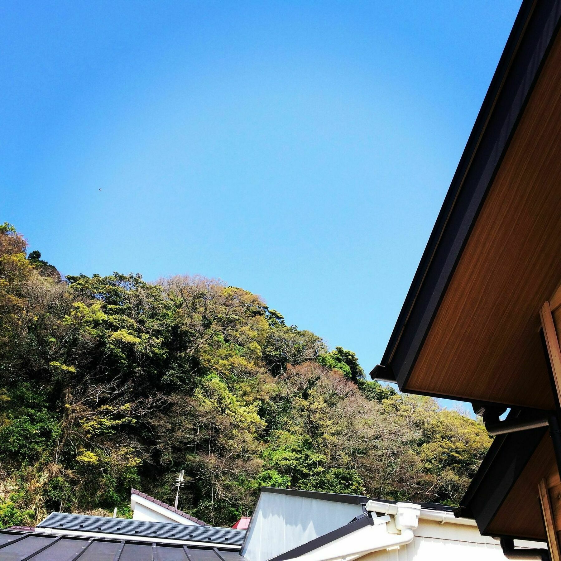 鎌倉zen-ji 鎌倉市