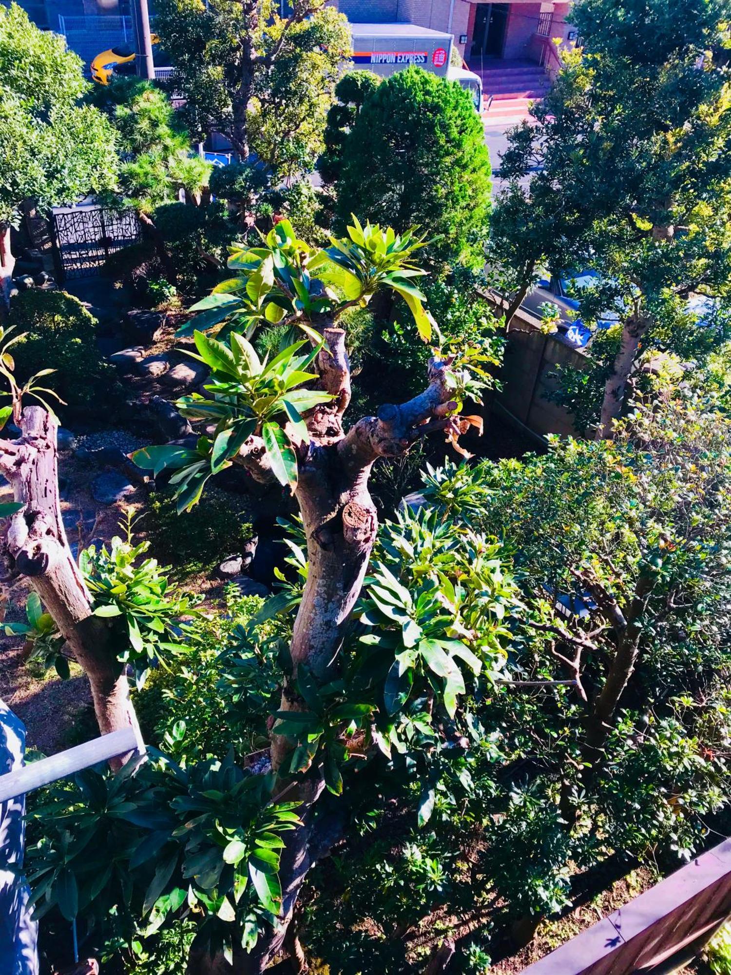 招待所 镰仓泽杰旅馆 2*