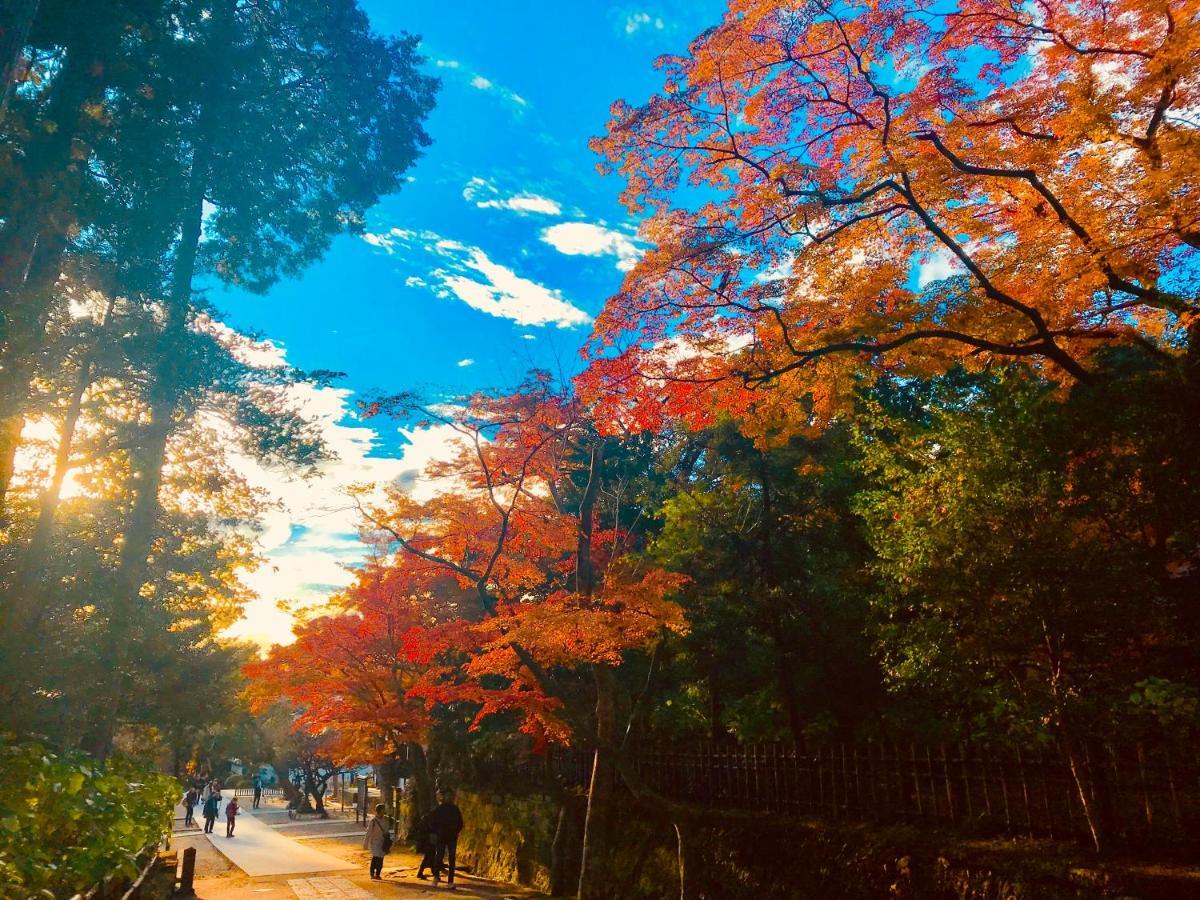 镰仓泽杰旅馆 招待所